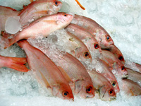 peixe